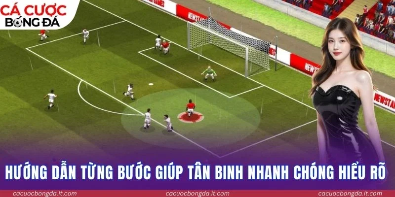 Hướng dẫn từng bước giúp tân binh nhanh chóng hiểu rõ